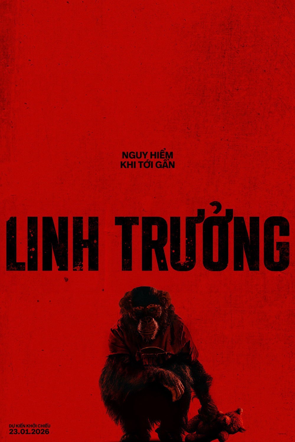 Xem phim Linh Trưởng