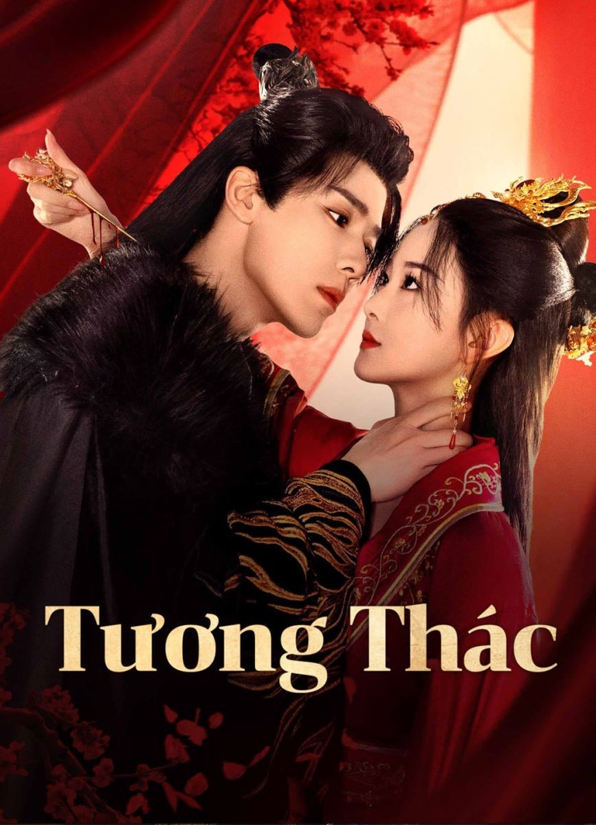 Xem phim Tương Thác